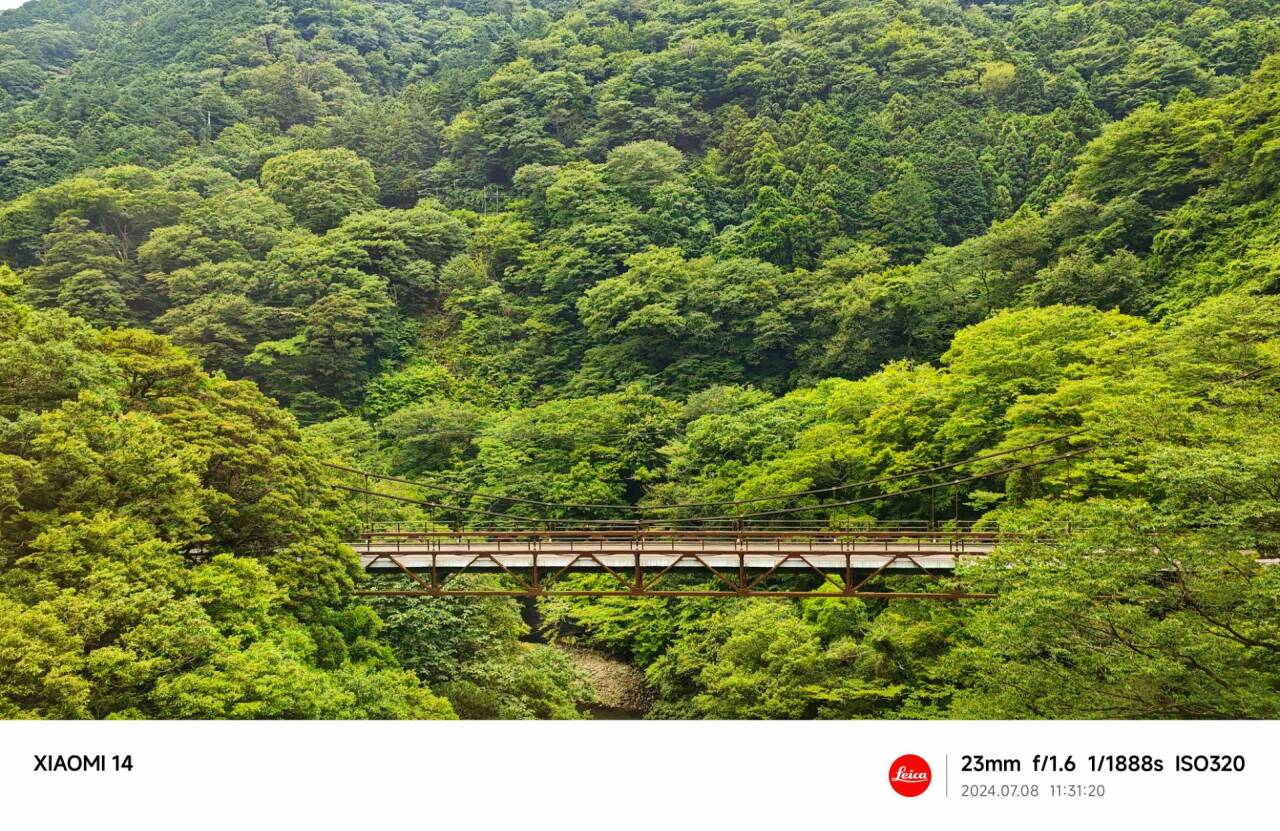 箱根登山铁路窗外风景