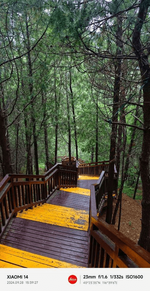 登山道